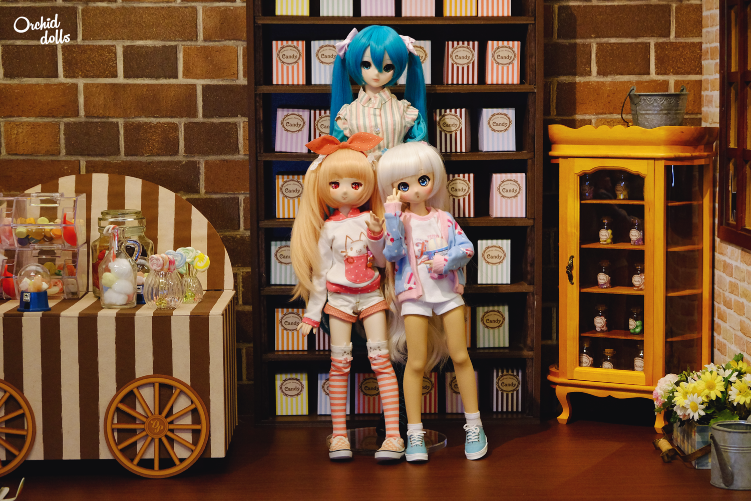 volks Doll Point, Dollfie Dream Miku Hatsune, Mini Dollfie Dream