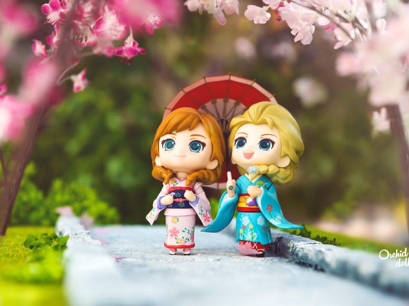 frozen nendoroid