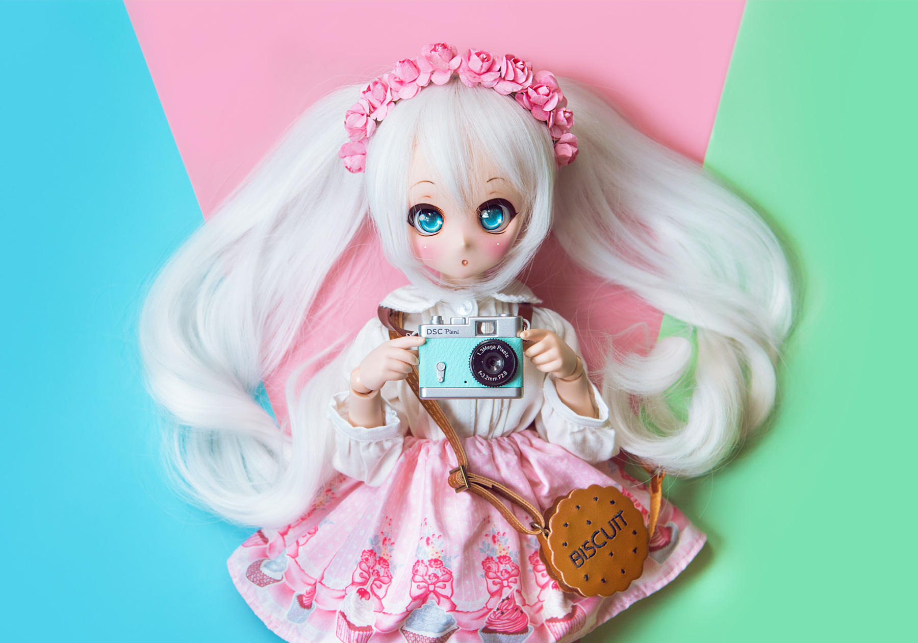 Indoor 1/4 1/6  BJD doll Photography Backdrop Scenery Background Customize 
